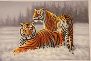 unknow artist Tigers 022 Spain oil painting artist